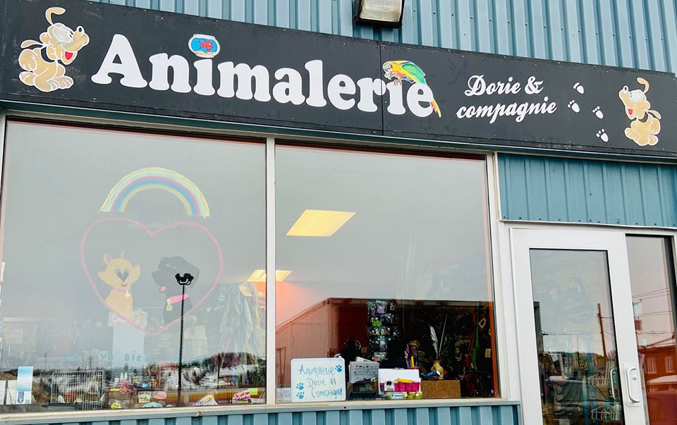 Animalerie Dori & Cie | 786 Rue Victoria, La Baie, QC G7B 3M7, Canada | Phone: (418) 544-6999