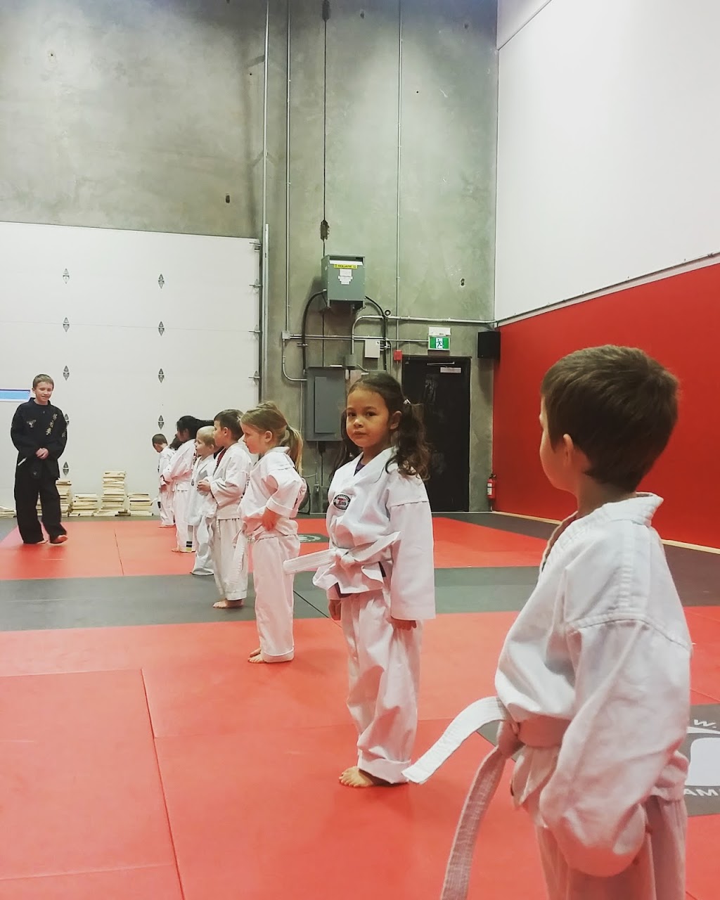 Fremont Martial Arts Training Centre | 551 Sherling Pl Unit #1150, Port Coquitlam, BC V3B 0J6, Canada | Phone: (604) 657-3584