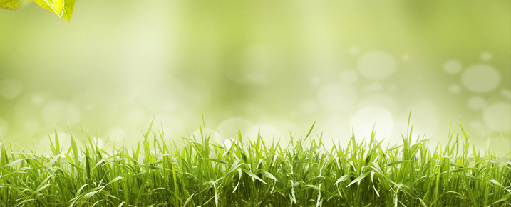 Turfrain Sprinklers & Irrigation Systems | 8310 Ninth Line, Norval, ON L0P 1K0, Canada | Phone: (416) 856-5000