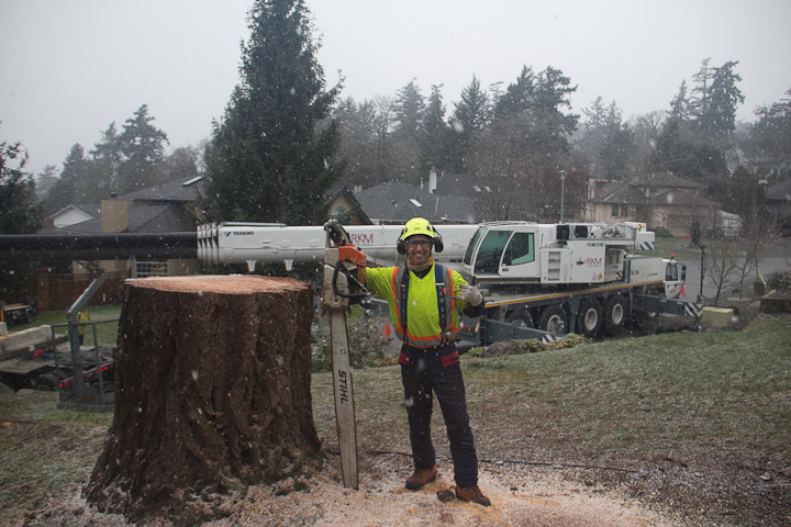 Pacific Rim Tree Service | 5862 Aldergrove Dr, Courtenay, BC V9J 1W2, Canada | Phone: (778) 585-9663