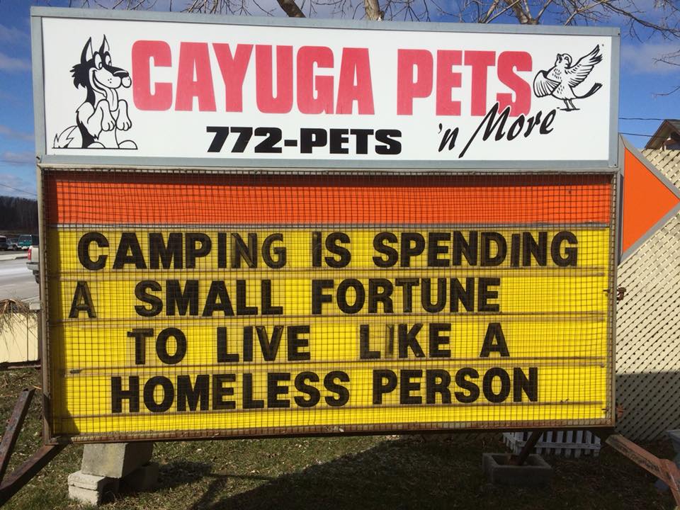 Cayuga Petsn More | 8 Ouse St N, Cayuga, ON N0A 1E0, Canada | Phone: (905) 772-7387