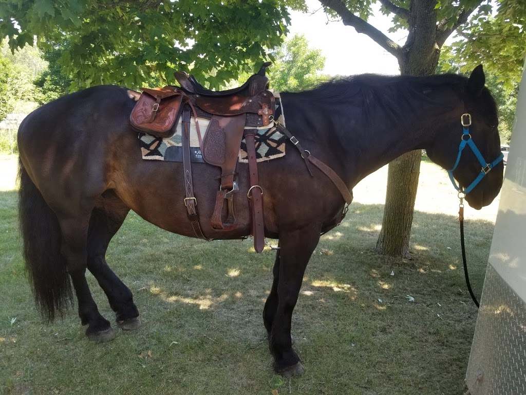 Nayoro Park | Sioux St, Lindsay, ON K9V, Canada