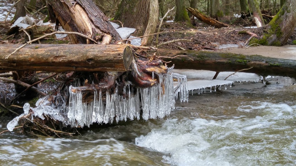 Hockley Valley Provincial Nature Reserve | 794122 3rd Line EHS, Laurel, ON L0N 1L0, Canada | Phone: (705) 435-2498