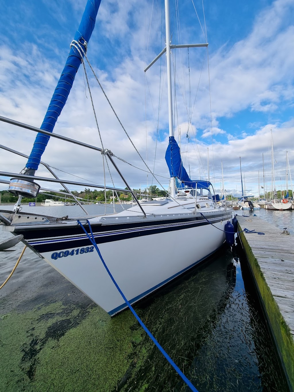 Kingston Sailing Charters | 1270 Coverdale Dr, Kingston, ON K7M 8X7, Canada | Phone: (613) 449-1060