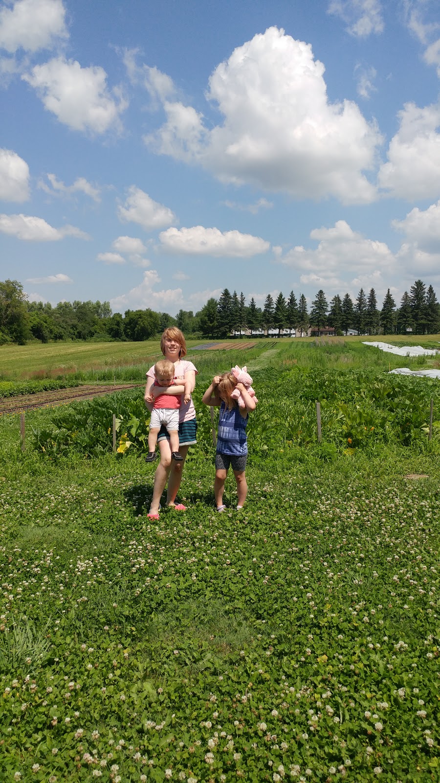 Blue Wheelbarrow Farm | 170 County Rd 32, Picton, ON K0K 2T0, Canada | Phone: (613) 827-1614