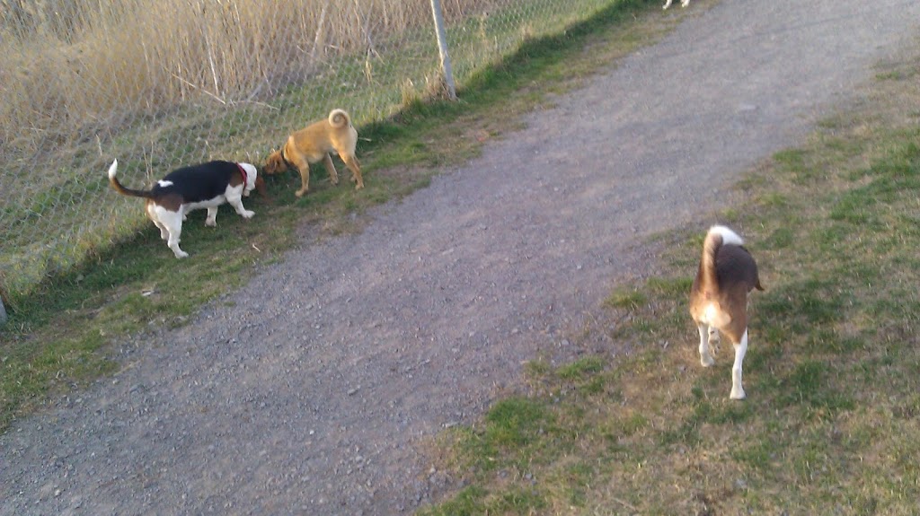 dog park Vauquelin Saint-Hubert | 5800 Boul Vauquelin, Saint-Hubert, QC J3Y 8Y9, Canada | Phone: (450) 463-7311