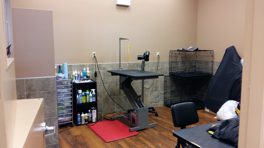 Groomingdales *Pet Grooming By Brittany* | 475 Granville St, Summerside, PE C1N 4K6, Canada | Phone: (902) 439-0949