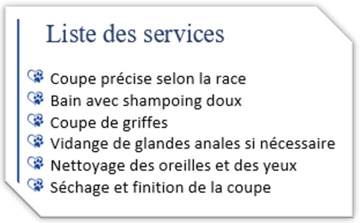 Floss Toilettage | 624 Rue Drouin, Pintendre, QC G6C 1L8, Canada | Phone: (581) 888-5990