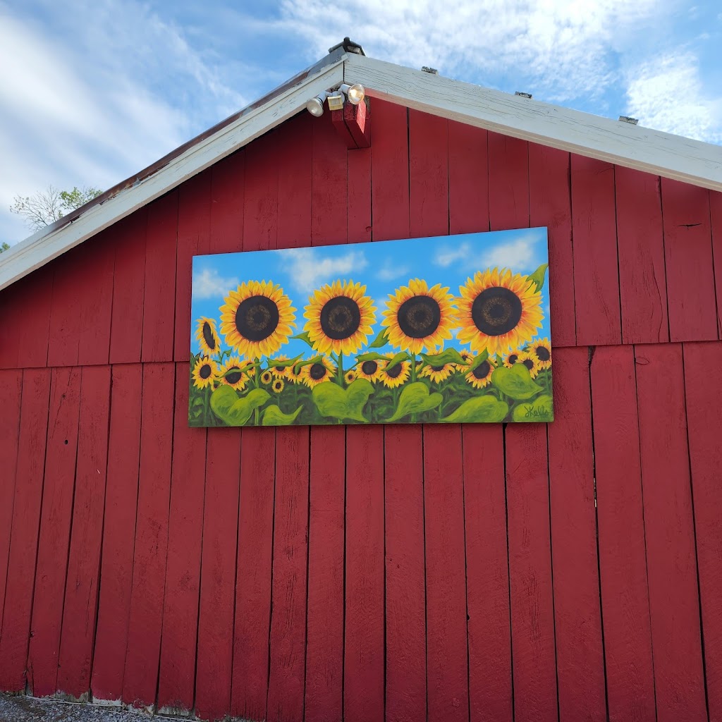Wynn Farms (Flowers and Sunflowers) | 9592 Loyalist Pkwy, Greater Napanee, ON K7R 3K7, Canada | Phone: (613) 881-0303
