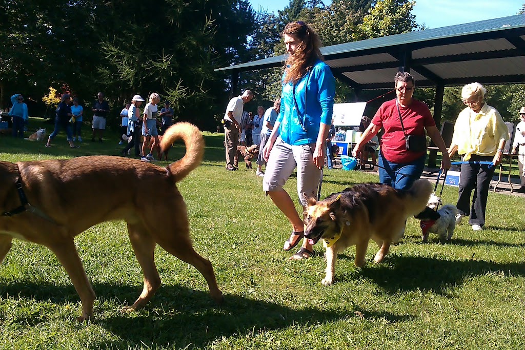 Nice Dog, Scarlett! | 32 Sherman Rd, Petawawa, ON K8H 0E4, Canada | Phone: (438) 926-7069