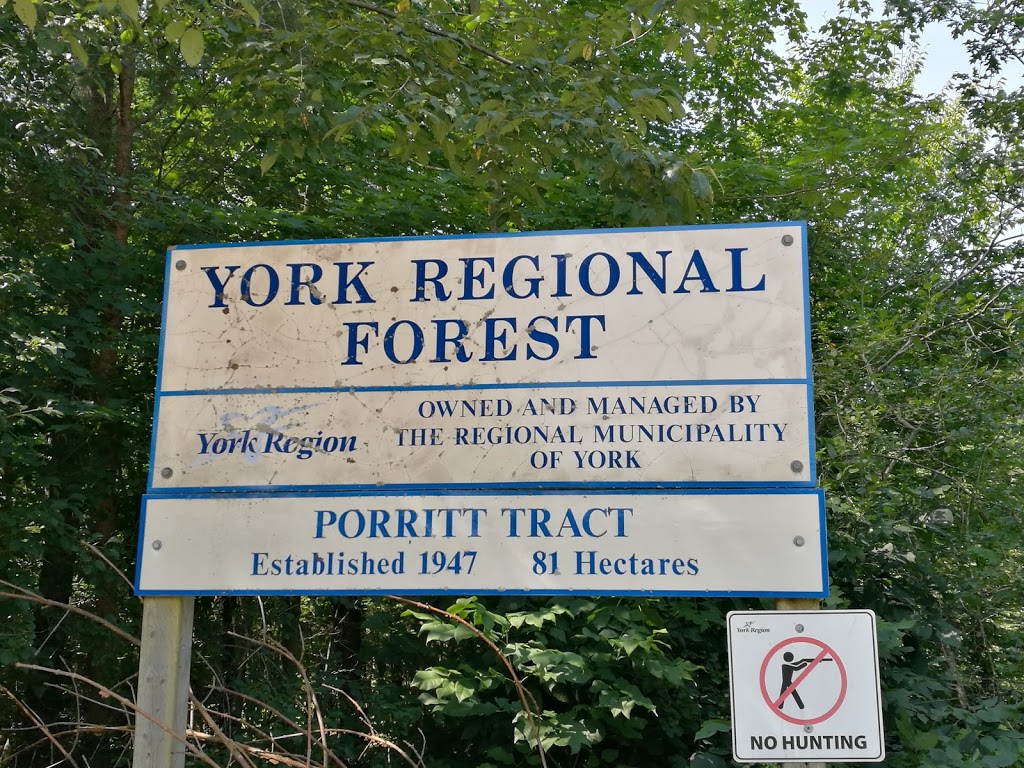 Porritt Tract York Regional Forest | 15470 Kennedy Rd, Newmarket, ON L3Y 4W1, Canada | Phone: (877) 464-9675