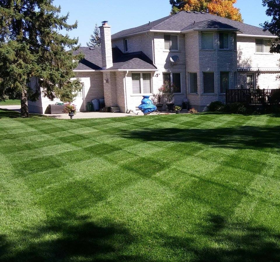 Fine Cut Landscaping | 1100 Sheffield Rd, Cambridge, ON N1R 5S2, Canada | Phone: (519) 651-7044