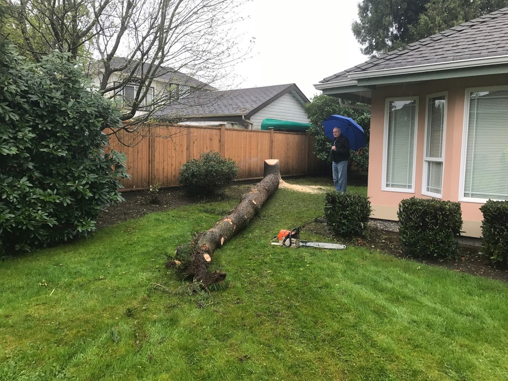 Give and Take Tree Service | 11125 232 St, Maple Ridge, BC V2X 1P3, Canada | Phone: (778) 872-8406