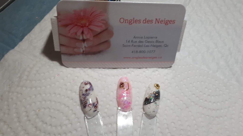 Ongles Des Neiges | 14A Rue des Geais Bleus, Saint-Ferréol-les-Neiges, QC G0A 3R0, Canada | Phone: (418) 800-1077