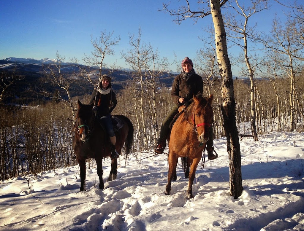 Moose Mountain Horseback Adventures | AB-762, Alberta T0L 1W0, Canada | Phone: (403) 949-3329