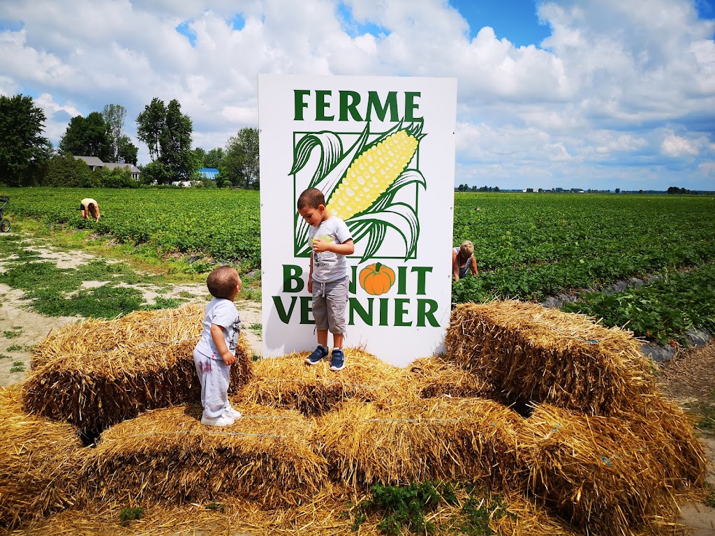 Ferme Benoit Vernier | 560 69e Avenue, Saint-Zotique, QC J0P 1Z0, Canada | Phone: (438) 700-6318