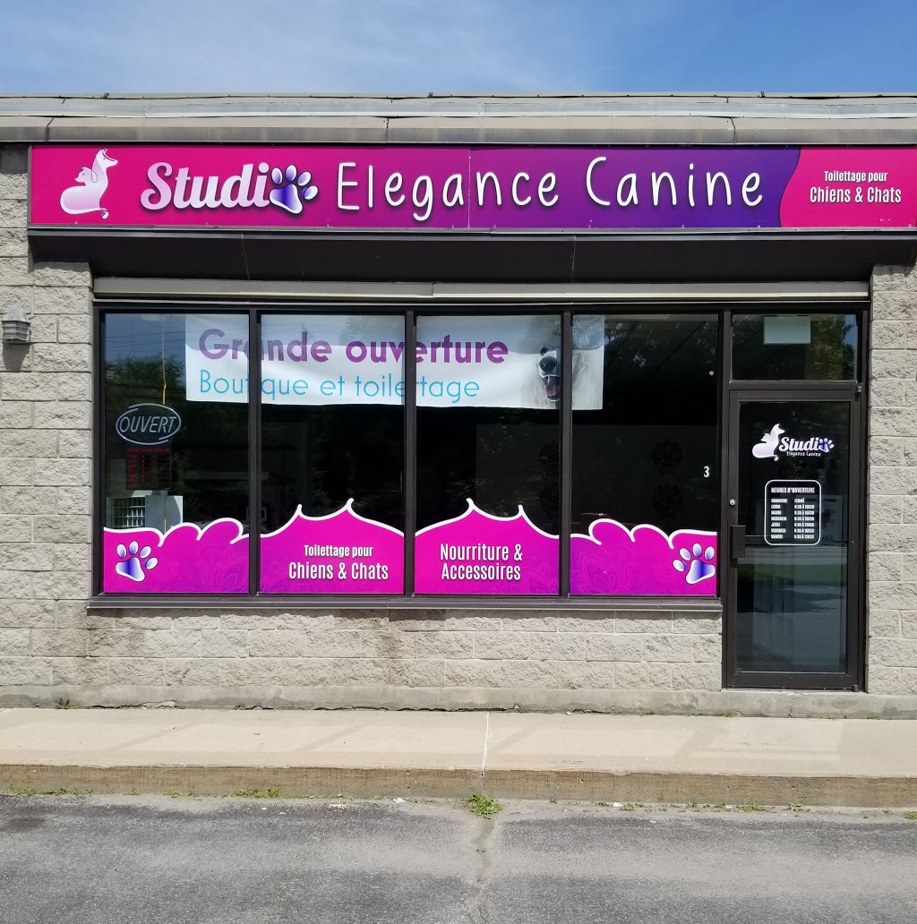 Studio Élégance Canine | 825 Boulevard Maloney E, Gatineau, QC J8P 1G5, Canada | Phone: (819) 962-4829