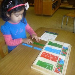 Montessori Education Centre | 2737 Bayview Ave, North York, ON M2L 1C5, Canada | Phone: (416) 502-1769