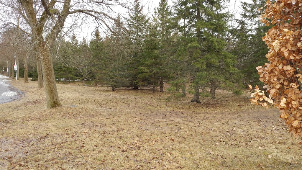 Parc Noe Ponton | Boulevard de lUniversité, Sherbrooke, QC J1K, Canada