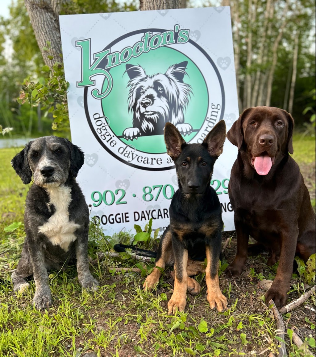 Knoctons Doggie Daycare and Boarding | 206 Dagger Woods Rd, Antigonish, NS B0H 1R0, Canada | Phone: (902) 870-7329