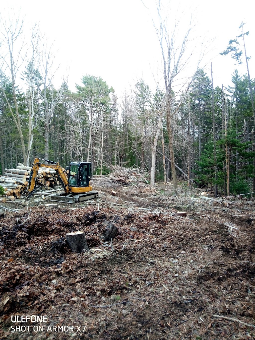 Riley Murphy Excavation | 344 Nowlan Mountain Rd, Newtonville, NS B4P 2R1, Canada | Phone: (902) 670-6754