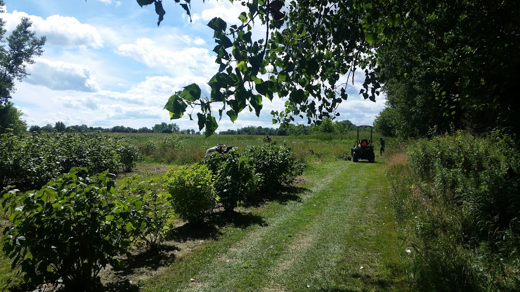 Les Jardins du Paysan | 91 Rang du Petit Chenal, Yamaska, QC J0G 1W0, Canada | Phone: (450) 789-2689