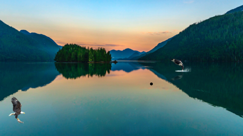 Indian Arm Boat Charters Inc. | 3825 Cates Landing Way, North Vancouver, BC V7G 0A6, Canada | Phone: (604) 836-6438