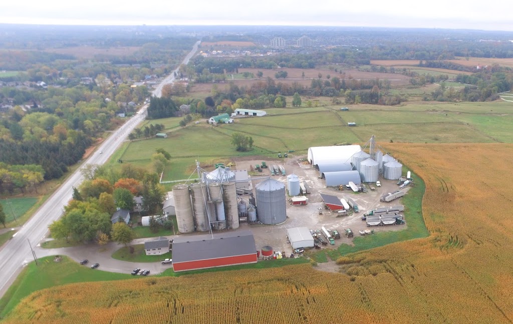 Arva Grain Corp. | 21741 Richmond St, London, ON N5X 4B2, Canada | Phone: (519) 660-4982