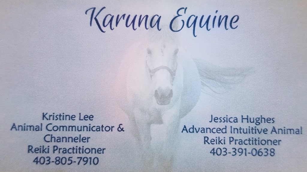 Karuna Equine | SE-27-43-2-W5, Bluffton, AB T0C 0M0, Canada | Phone: (403) 391-0638