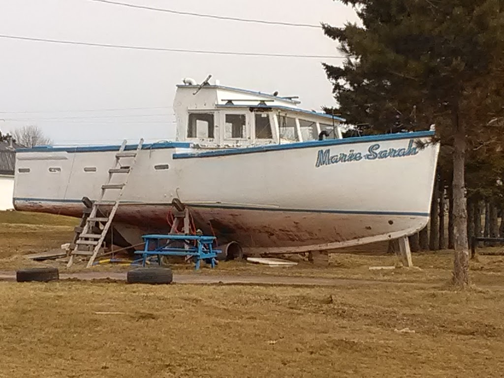 Paradise On The Sea Adventures | 118 Breakwater St, Souris, PE C0A 2B0, Canada | Phone: (902) 969-7727