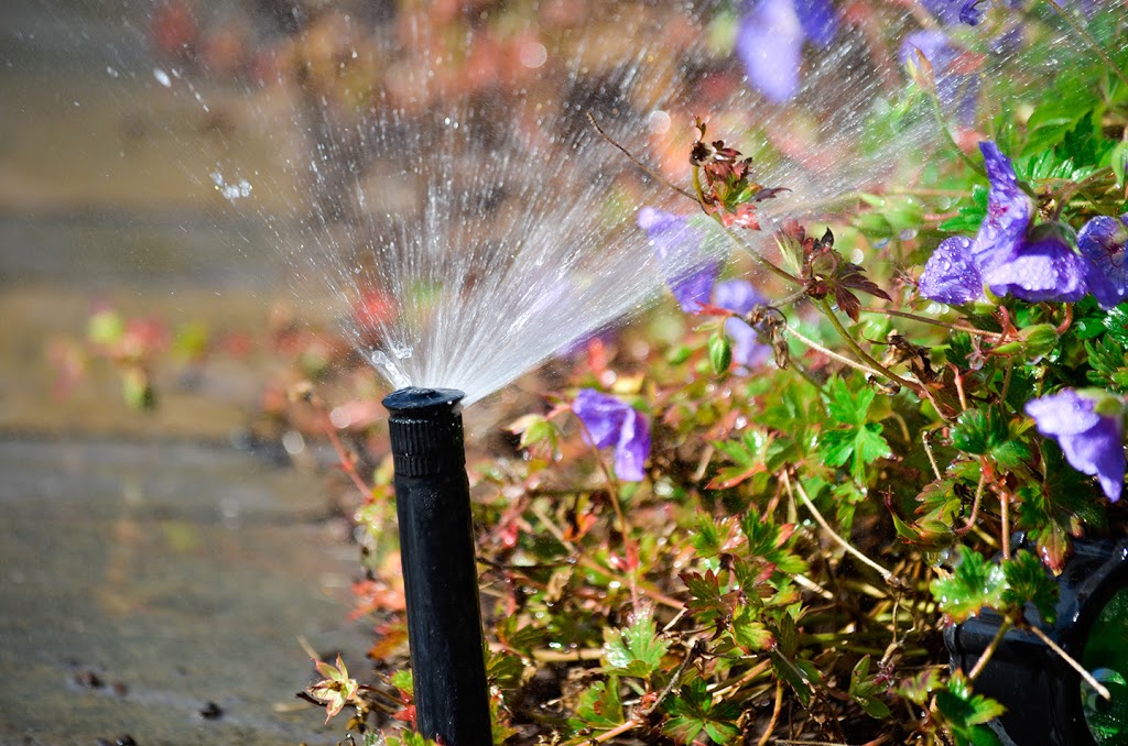 National Capital Irrigation & Hydroseeding Inc. | 18 Lytle Ave, Ottawa, ON K2R 1E5, Canada | Phone: (613) 282-9384