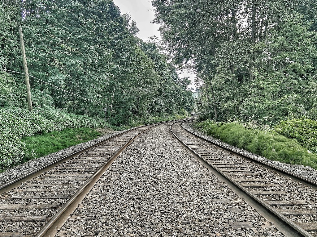 Confederation Park Off-Leash Trail | Burnaby, BC V5C 5S8, Canada