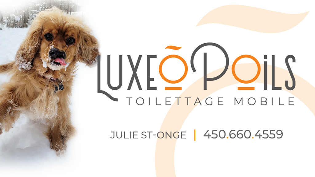 toilettage luxe ô poils | 555 Rue du Bouton dOr, Sainte-Sophie, QC J5J 1T5, Canada | Phone: (450) 660-4559