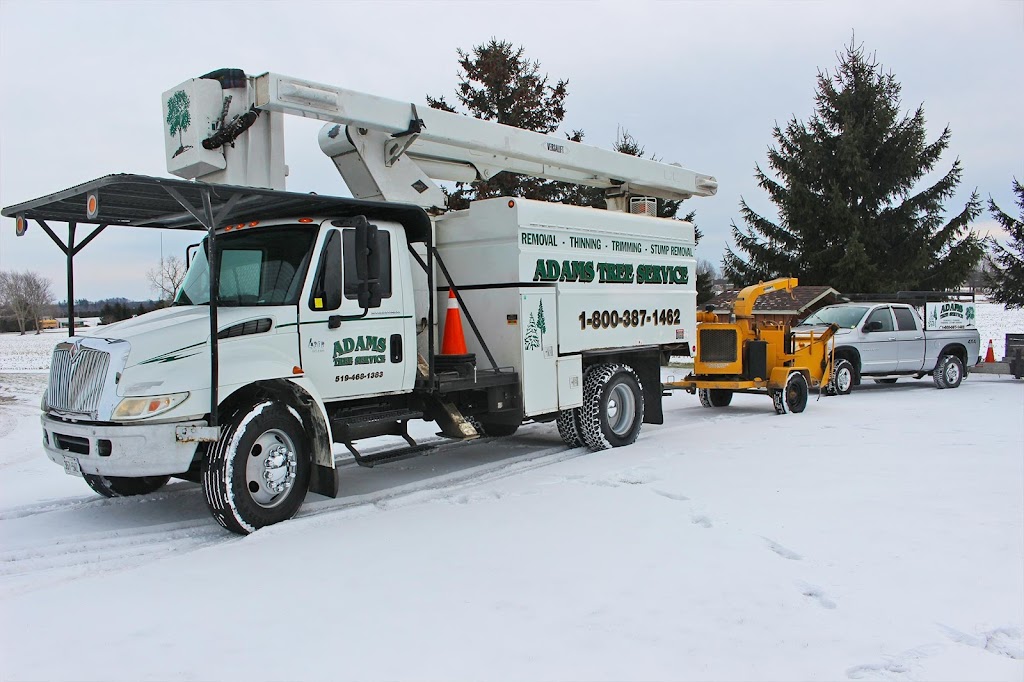 Adams Tree Service Ltd. | 813126 Base Line, Norwich, ON N0J 1P0, Canada | Phone: (519) 536-6865