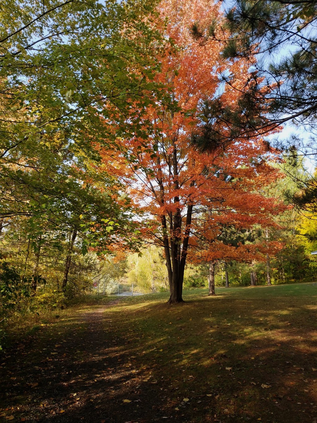 W. E. Burton Conservation Area | 602 Church St, Russell, ON K4R 1C4, Canada