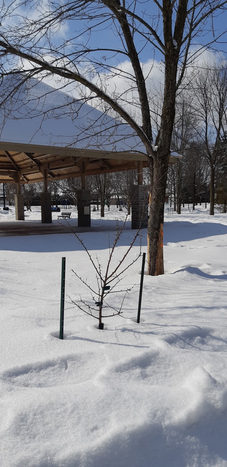 Pavillon de la biodiversité | 66 Rue du Maçon, Saint-Constant, QC J5A 1T1, Canada | Phone: (450) 632-1897