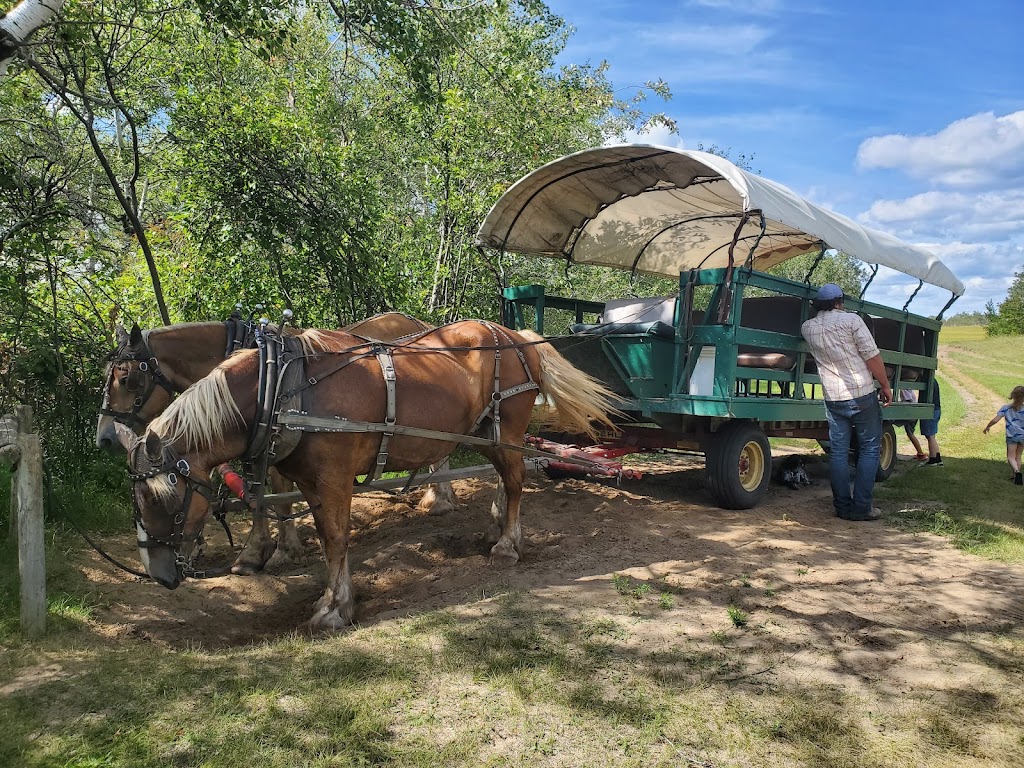 Spirit Sands Wagon Outfitters | MB-5, Glenboro, MB R0K 0X0, Canada | Phone: (204) 526-7727