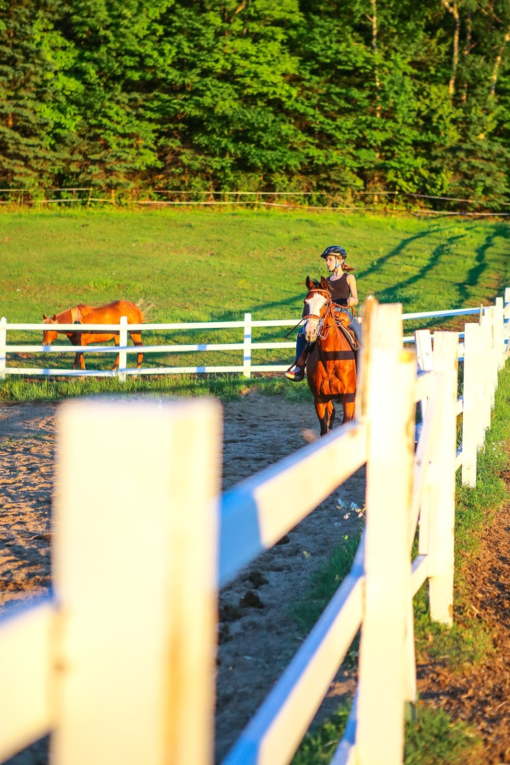 Equita Ranch | 838 Montée de la Source, Cantley, QC J8V 3H4, Canada | Phone: (819) 827-9996