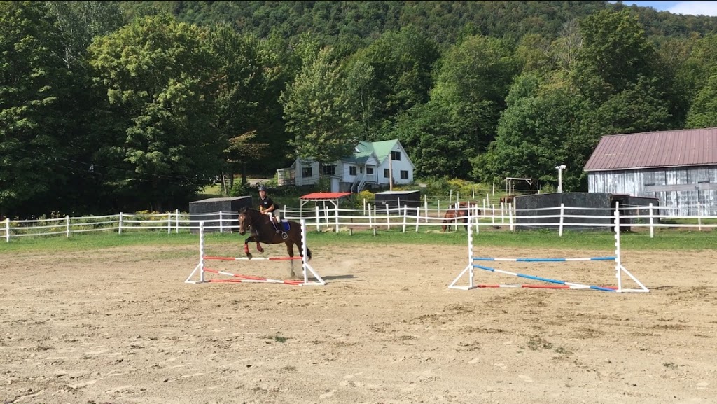 Centre Equestre La Chevalerie | 1520 Grand Rang Saint-Charles, Saint-Paul-dAbbotsford, QC J0E 1A0, Canada | Phone: (450) 379-9381