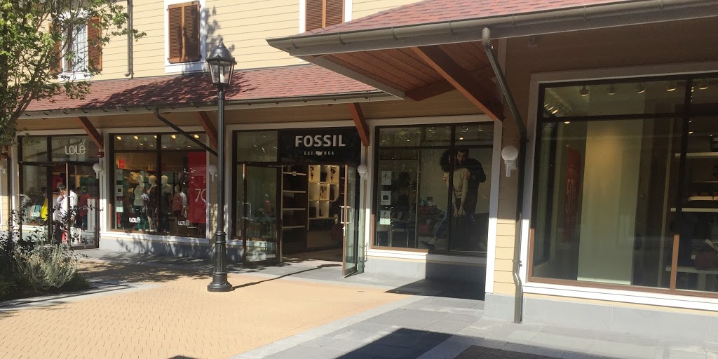 Fossil Outlet | 7899 Templeton Road Ste. 43416, Richmond, BC V7B 0B7, Canada | Phone: (604) 303-2493