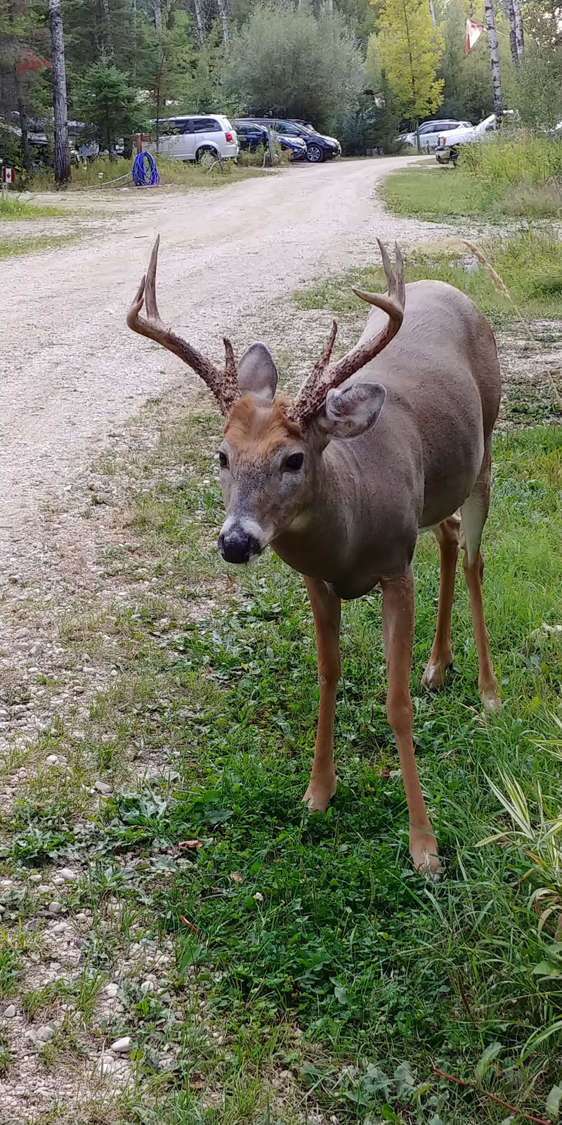 Relax Ridge Seasonal Park | Trans Canada Trail, Pinawa, MB R0E 1L0, Canada | Phone: (204) 345-3957