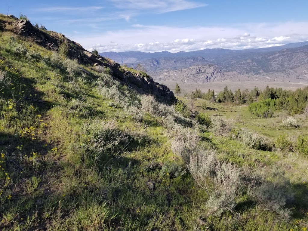 South Okanagan Grasslands Protected Area | Cawston, BC V0X 1C0, Canada | Phone: (800) 689-9025