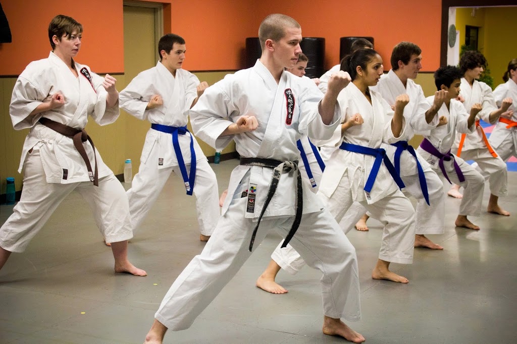 Driftwood Martial Arts Inc. | 1624 Highland Rd W #1, Kitchener, ON N2N 3K7, Canada | Phone: (519) 579-5656