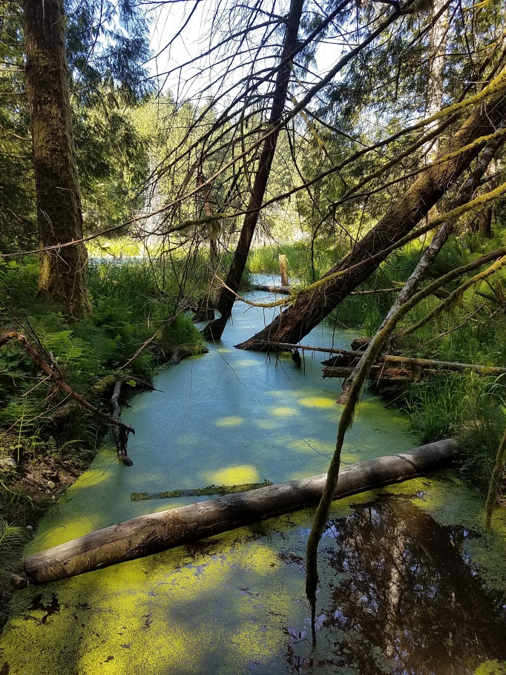 Mount Erskine Provincial Park | Salt Spring Island, BC V8K 2X2, Canada | Phone: (877) 559-2115