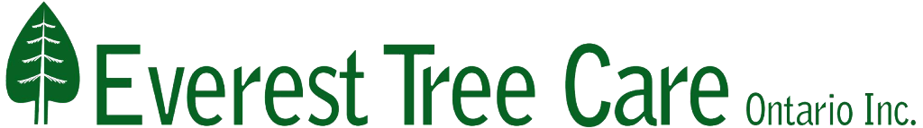 Everest Tree Care Ontario Inc. | Whitchurch-Stouffville, ON L0H 1G0, Canada | Phone: (905) 505-6033