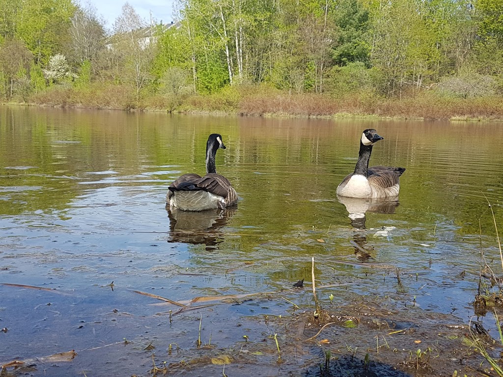 Lake Claude Park | 1061 Rue de la Canardière, Saint-Jérôme, QC J5L 0B3, Canada | Phone: (450) 431-1239