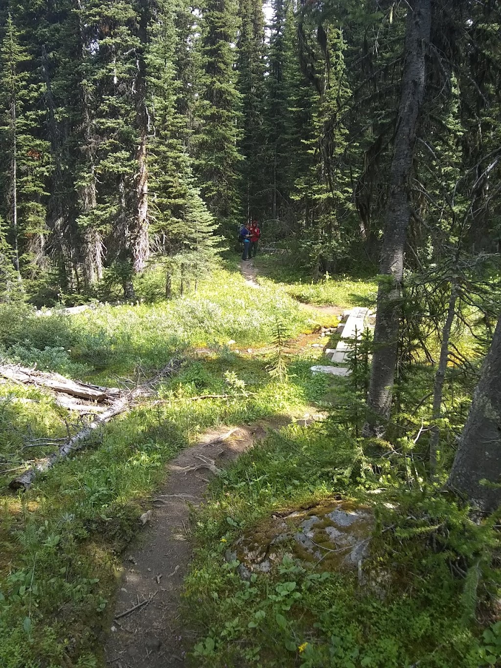 Egypt Lake Shelter | Redearth Pass Trail, Improvement District No. 9, AB T0L 2C0, Canada | Phone: (403) 762-1550