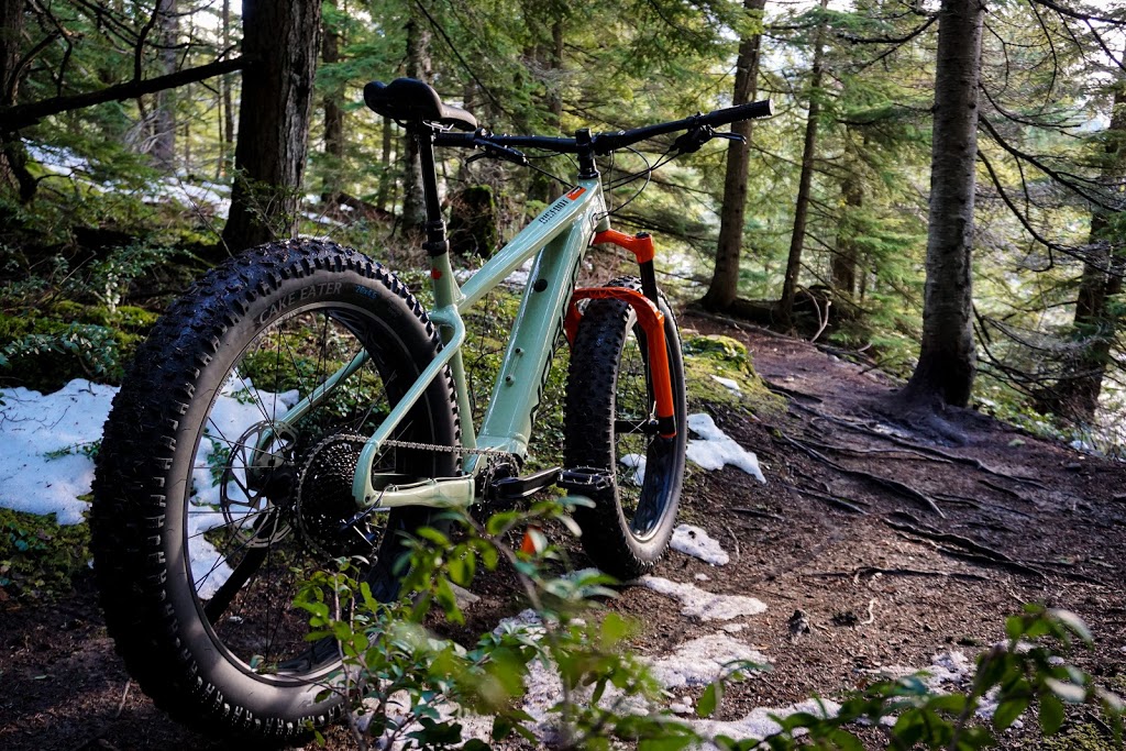 Whistler Bike Co | Marketplace Shopping Centre, 4370 Lorimer Rd #137, Whistler, BC V8E 1A6, Canada | Phone: (604) 938-9511