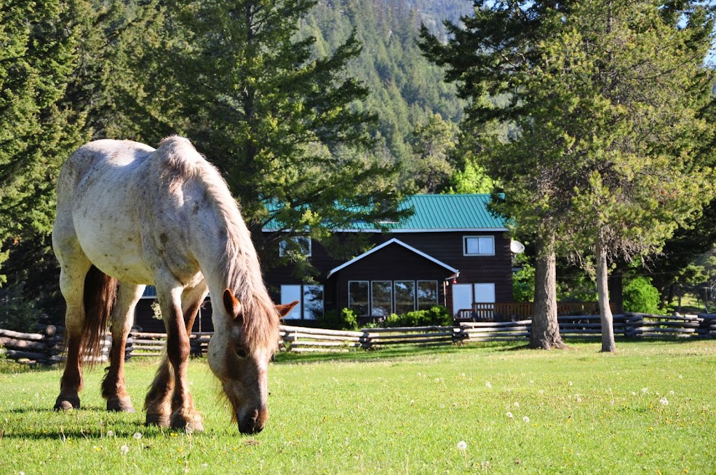 Chilcotin Holidays Guest Ranch | 3300 Gun Creek Rd, Gold Bridge, BC V0K 1P0, Canada | Phone: (250) 238-2274