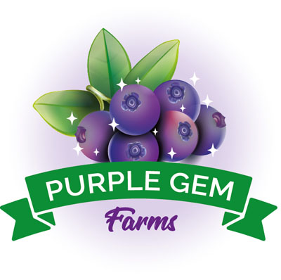 Purple Gem Farms | RR#2, Millet, AB T0C 1Z0, Canada | Phone: (780) 387-4250